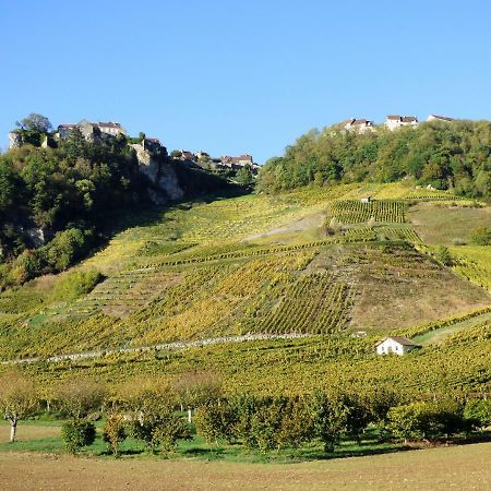 Cote Riviere Villa Nevy-Sur-Seille Eksteriør billede